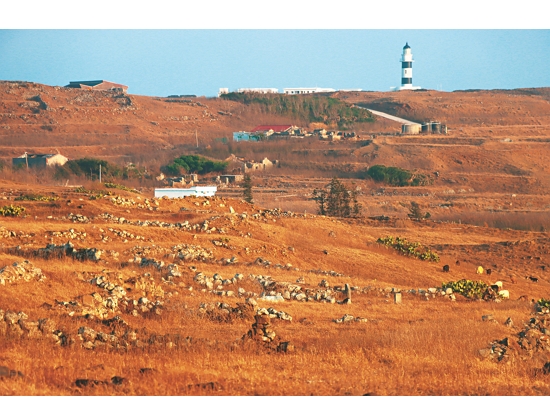 秋冬季節，島上的植被由綠轉黃／徐嘉偉 攝