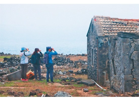 除了調查植物，也會跟著同仁一起觀察鳥類／徐嘉偉 攝