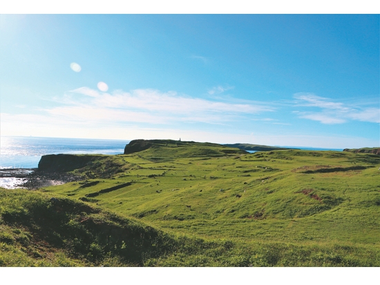 草本植生是澎湖南方四島的特色風景，圖為東吉嶼／徐嘉偉 攝