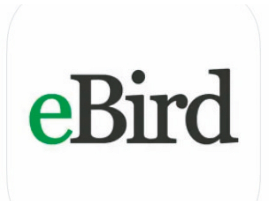 Ebird Taiwan