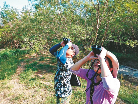 眼耳並用，聽鳥鳴、尋鳥蹤／蔡乙榮 攝