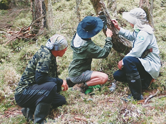 架設自動照相機／黃美秀 提供