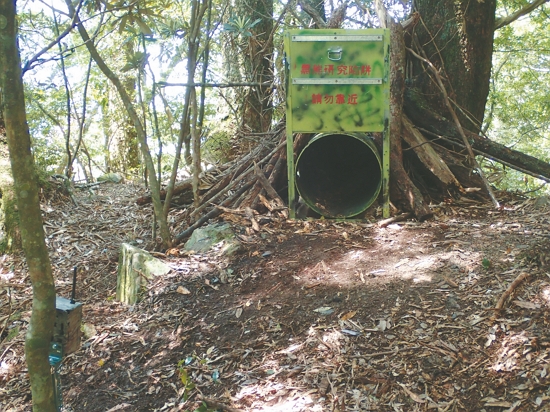 鐵桶陷阱搭配即時監測的自動照相機／黃美秀 提供