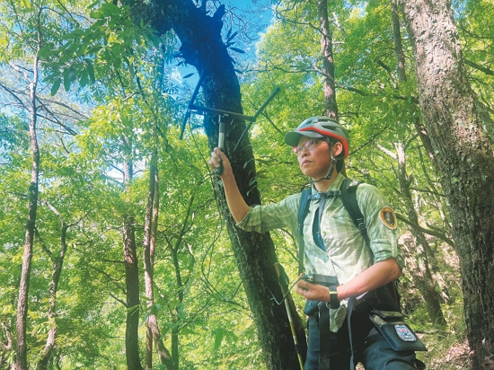  VHF 無線電追蹤／黃美秀 提供