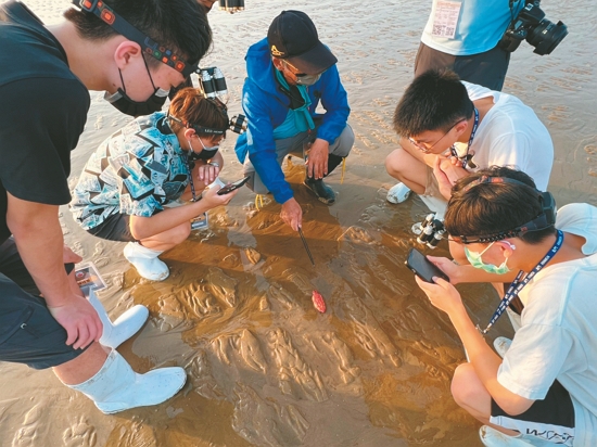     監測海岸變化可建立預警制度，守護在海岸活動的人們的安全／金管處 提供