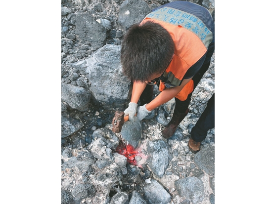    現場探測電極設置情形／陽管處 提供