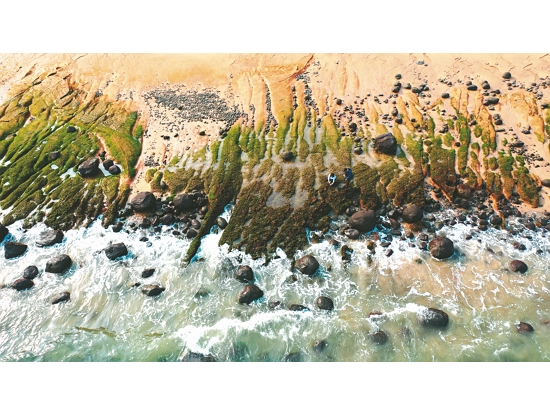    無論技術多麼先進，能夠讓監測產生意義的永遠是人（圖為觀察南山頭綠石槽）／洪清漳 攝