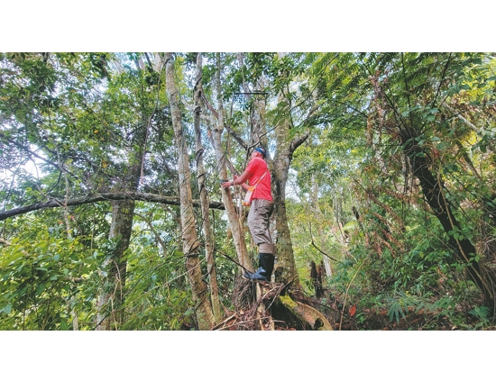    尋找合適位置架設器材／翁國精 提供