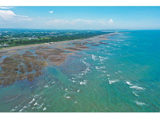 濕地與我們的生活十分接近，近到我們經常忽略了她／智邦國際多媒體 提供