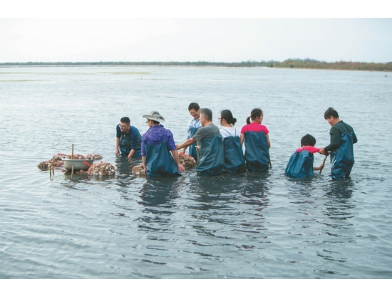  使用廢棄蚵殼為海洋生物造礁／台灣濕地保護聯盟 提供