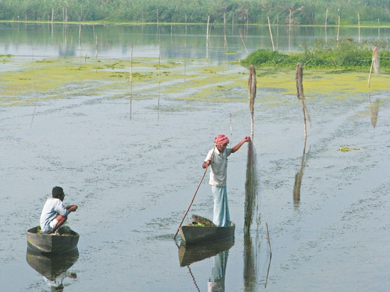  各國不過度耗竭資源的傳統漁法被視為重要的「明智利用」典範／Powell.Ramsar 提供（來源：https:// commons.wikimedia.org/wiki/File:Wise_use.jpg）