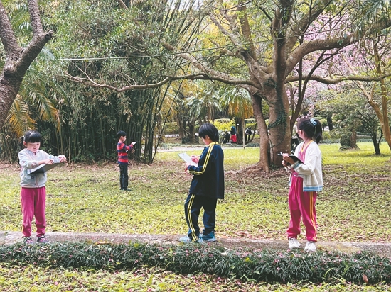 學員在梅園中自由觀察紀錄，培養細微的觀察力
