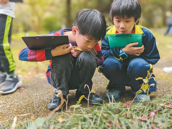 透過環教課程，感受大自然的魅力，與之連結對話／許美惠 提供
