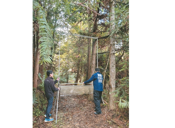  在雪見森林裡架設豎琴網
