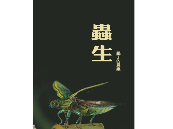 蟲生—墾丁的昆蟲