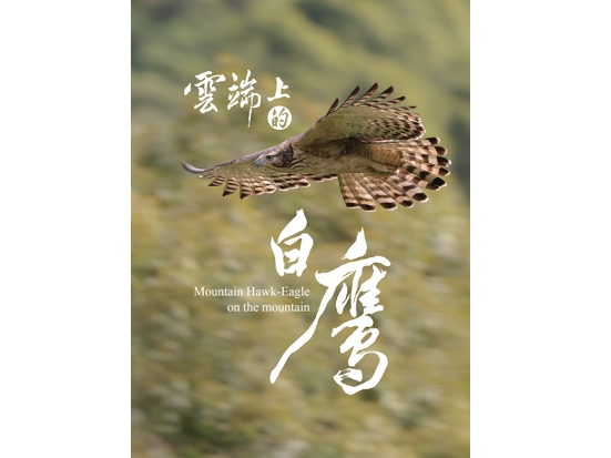 《雲端上的白鷹》影片發表會