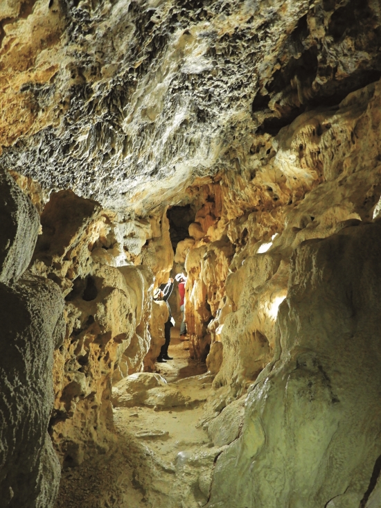 為拍攝壽山的石灰岩地形，團隊吃盡苦頭／自管處 提供