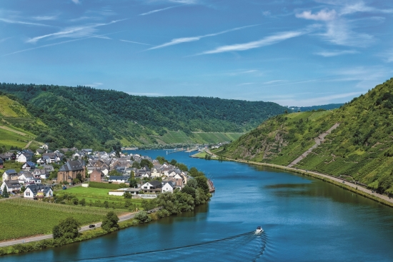 萊茵河行動計畫每20年設定一次目標並調整執行內容，持續朝重現潔淨的、生機蓬勃的萊茵河努力／Karl-Hendrik Tittel提供（iStock）
