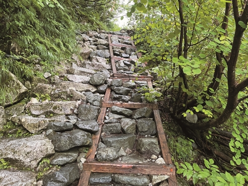 利用現地石塊與木材作為步道整修材料