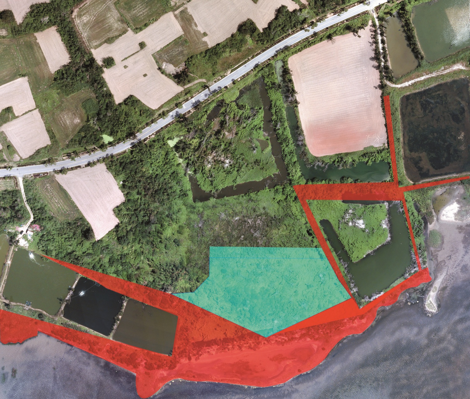 以空拍機照片畫出慈湖造林規劃（紅色第一期造林、藍色第二期造林）／金管處 提供