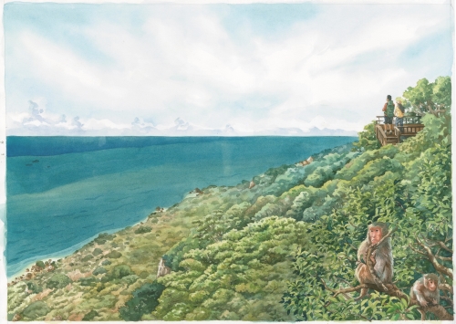 了解人猴衝突的原因，才能解決問題，讓人與猴都能在這片土地上自在生活／自管處 提供