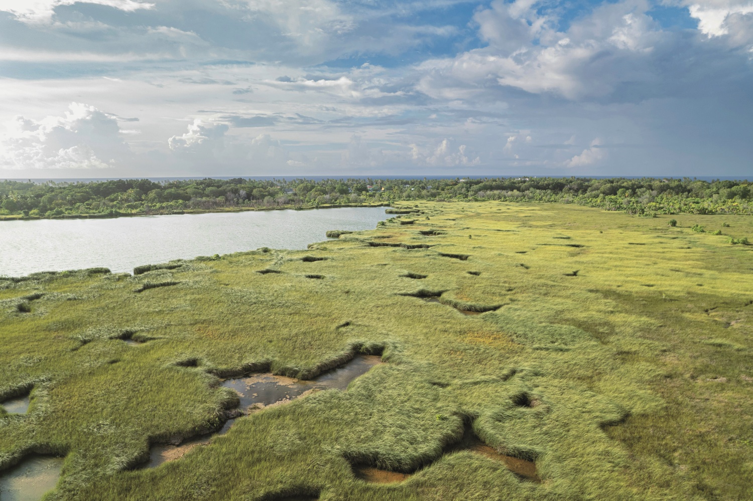 濕地是大地之腎，卻非解決環境問題的萬靈丹（圖為馬爾地夫富瓦穆拉自然公園）／ ajaaibu 提 供（圖片來源：https://unsplash.com/photos/a-large-body-of-water-surrounded-bylush-green-grass-qzBcmovPlLo）
