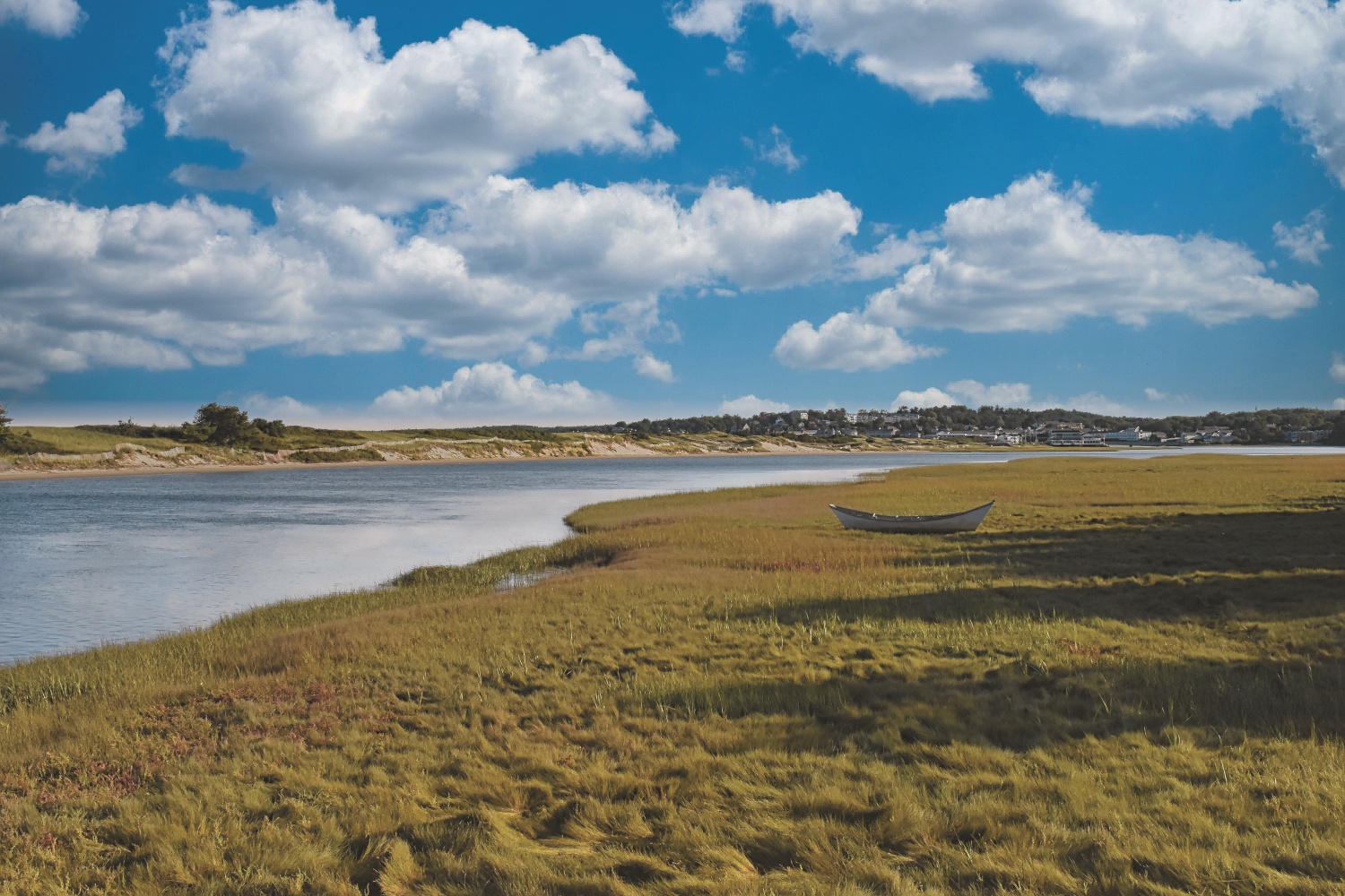 位於緬因州的鹽沼／ Jack Bulmer 提供（圖片來源：https://unsplash.com/photos/a-body-of-watersurrounded-by-a-lush-green-field-ny-t2dmzCwI）