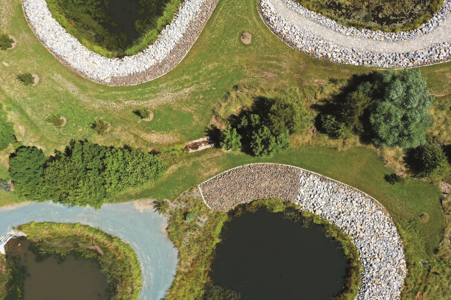 都市濕地包容人與萬物共存，也有過濾汙染、防洪的作用／
GeoNadir 提 供（ 圖 片 來 源：https://unsplash.com/photos/
a-birds-eye-view-of-a-river-and-a-park-OM2RMEhKYEA）