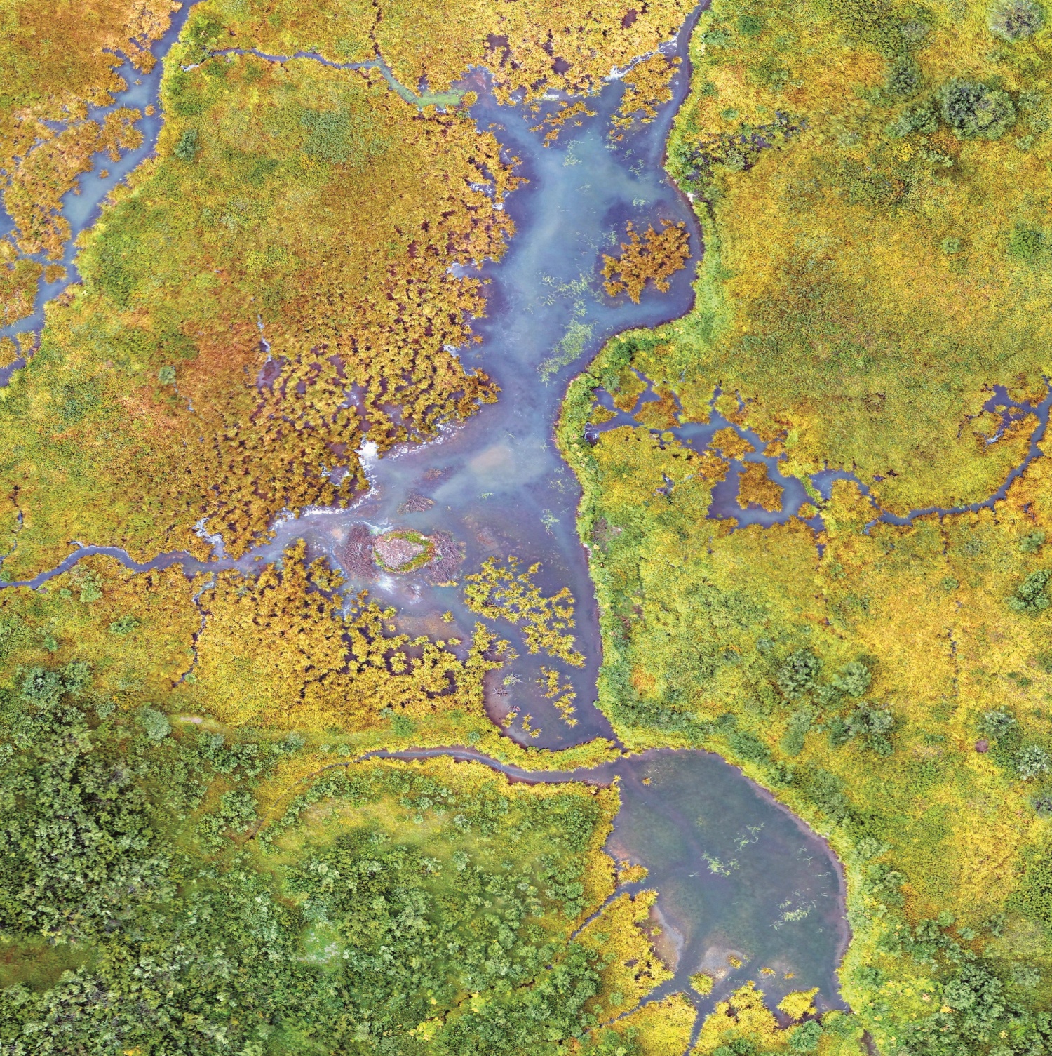 從空中俯瞰克羅拉多州洛磯山脈的濕地／ USGS 提供（圖片來源：
https://unsplash.com/photos/aerial-photography-of-calmbody-of-water-Yhx6-WibC3I）