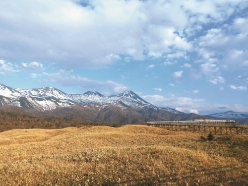 國家公園多是屬於政府治理的保護區，圖為北海道知床國立公園／ Delvin Abdiel 提供（ 圖片來源：https://unsplash.com/photos/a-train-traveling-over-a-bridge-over-a-dry-grassfield-EPADxkuJ5p4）