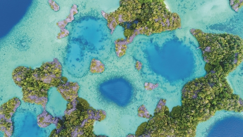 海洋中潛藏許多尚待發掘的碳匯潛力／ Muhammad Ikbal 提供（iStock）