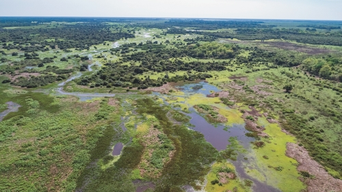 如何更準確計算濕地復育後的碳封存量是亟待討論的難題／ Uwe-Bergwitz 提供（iStock）