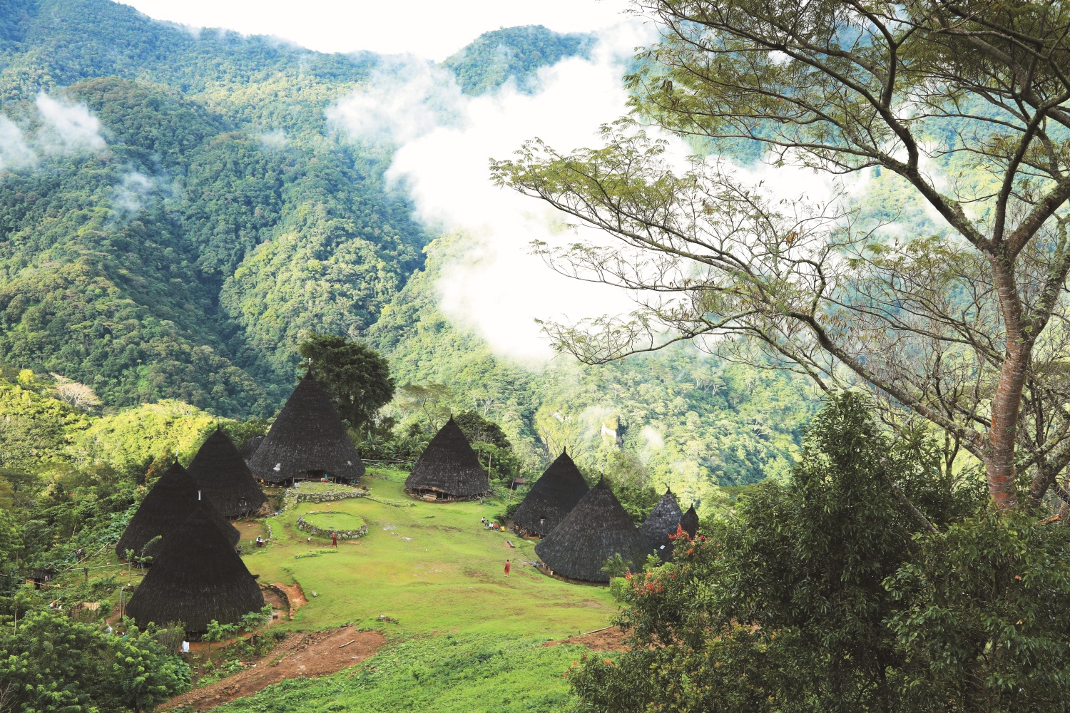 瓦雷博村發展生態旅遊契機源於期望脫貧，獲得國內外經費挹注及部落傳統智慧修繕
圓錐形家屋，再透過合議制會議和協商發展會議共享的生態旅遊服務／郭育任 攝