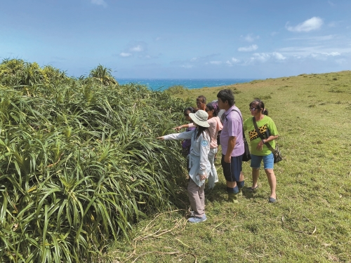帶領居民進行九棚津田氏大頭竹節蟲棲地普查