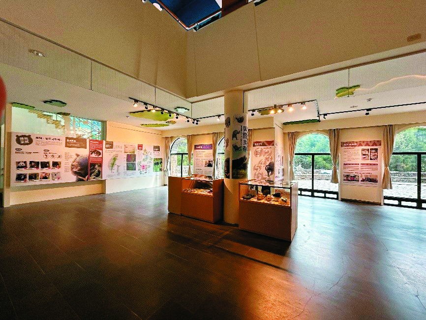 與熊共存—臺灣黑熊特展