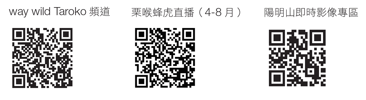 各影音作品連結