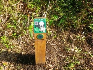 陽明山國家公園解說椿現場設置情形(陽明山國家公園提供)