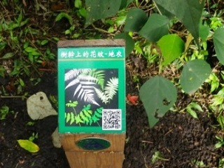 解說椿上的解說主題意象圖示及二維條碼QR Code(陽明山國家公園提供)
