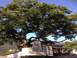 alt-八通關越嶺古道之旅-1