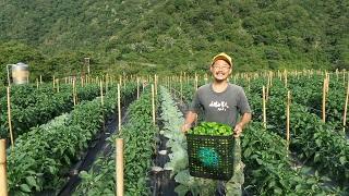 alt-Next mile of friendly farming in national park-1