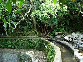 坪頂水圳水質清澈，是踏青及觀賞生態的好去處