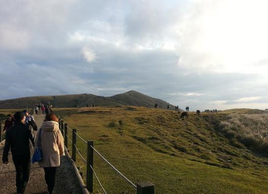 alt-擎天崗遊記-1