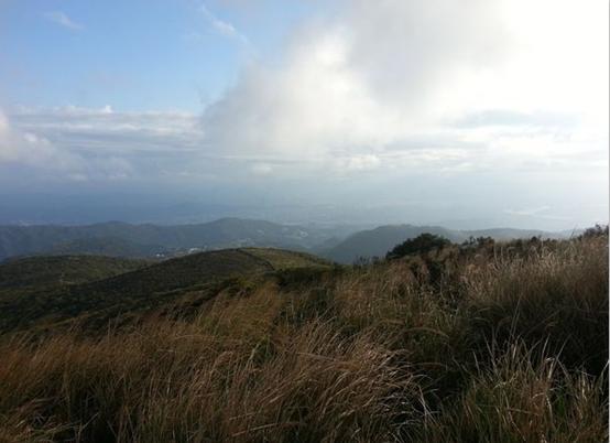 擎天崗的陰天也有陰天的美。