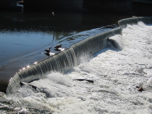 豐沛水力醞釀無限動力與生機