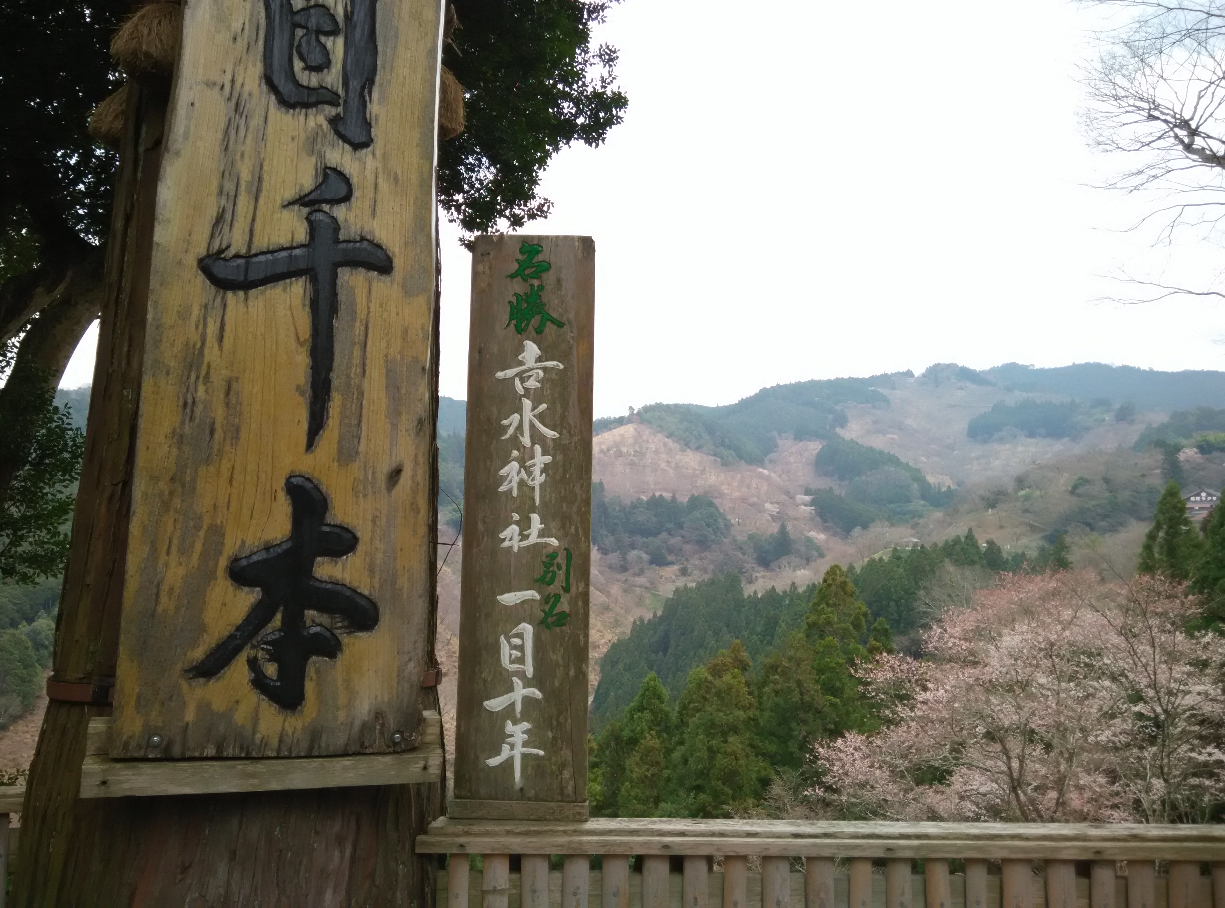吉水神社一目千本觀景台