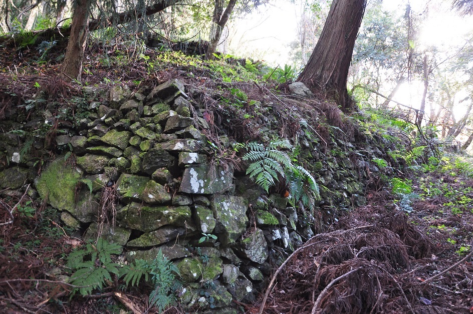 alt-歷經年歲與毅力造就的南橫公路美景再現:梅山口至天池路段限定開放-3