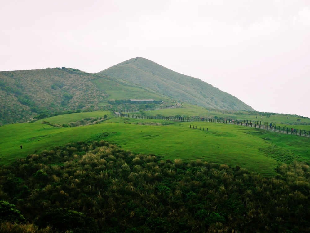 alt-城市喧囂裡的一片草原綠地—重新開放的擎天崗-1