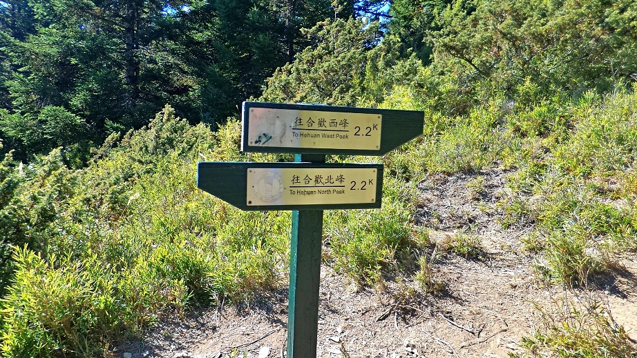 位於合歡北峰、西鋒一半路程設置的距離牌，激勵各位已經完成一半了哦!(當然還有另一半需要繼續堅持)
