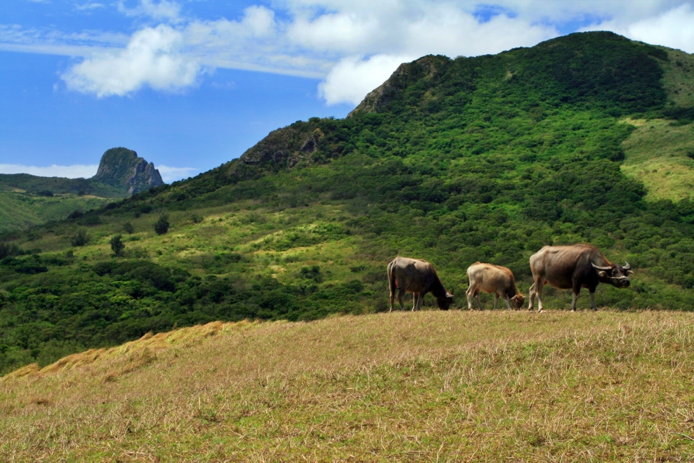 alt-「跟著茂伯送信去」漫遊墾丁滿州鄉之生態旅遊--永靖社區-1