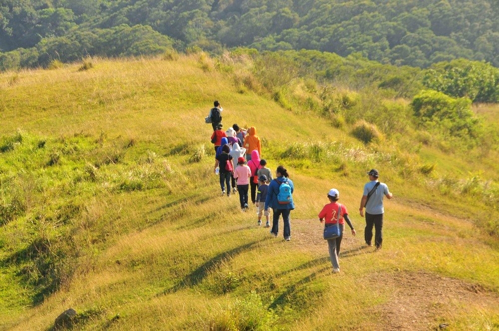 沿著山溪涉水而行，穿越低矮的森林，即可見一大片草原，石牛即矗立在眼前。(墾丁國家公園管理處提供)
